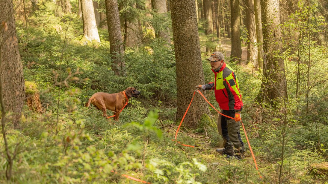 Foto von Herrn Schönfelder, der Hund Leo an einer langen Leine hält